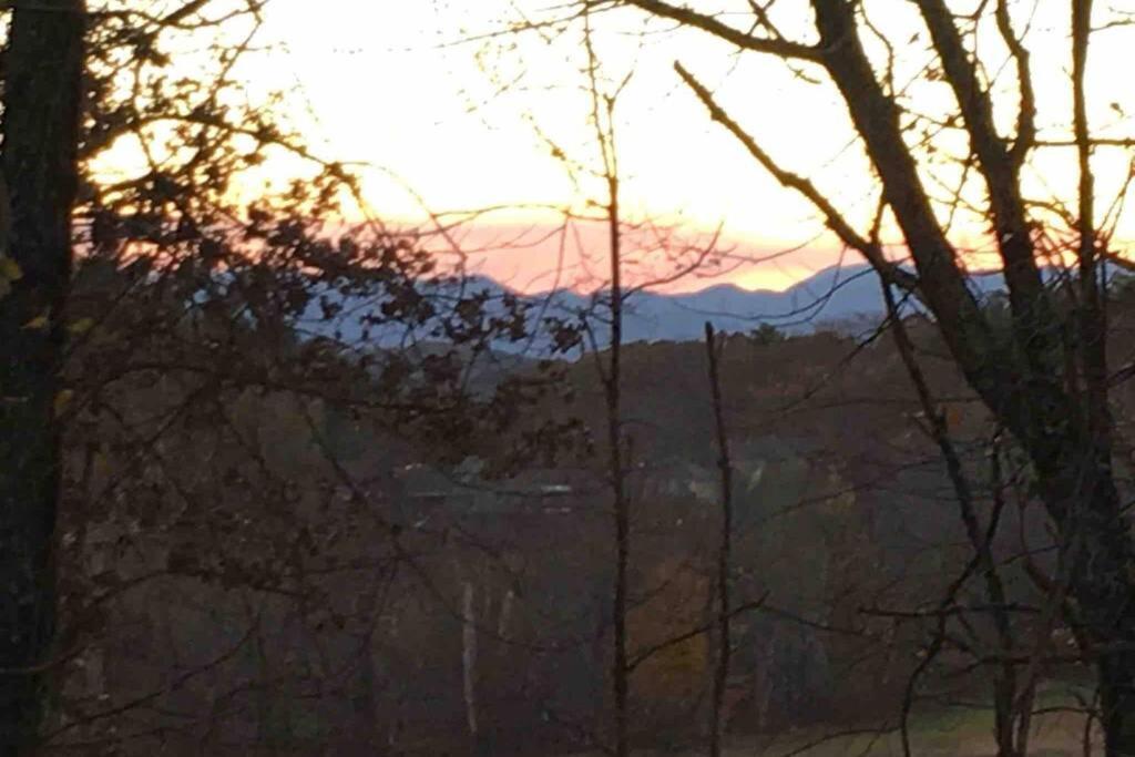Serenity Views Comfort - Close To City & Parkway! Weaverville Εξωτερικό φωτογραφία