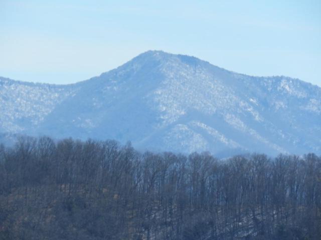 Serenity Views Comfort - Close To City & Parkway! Weaverville Εξωτερικό φωτογραφία