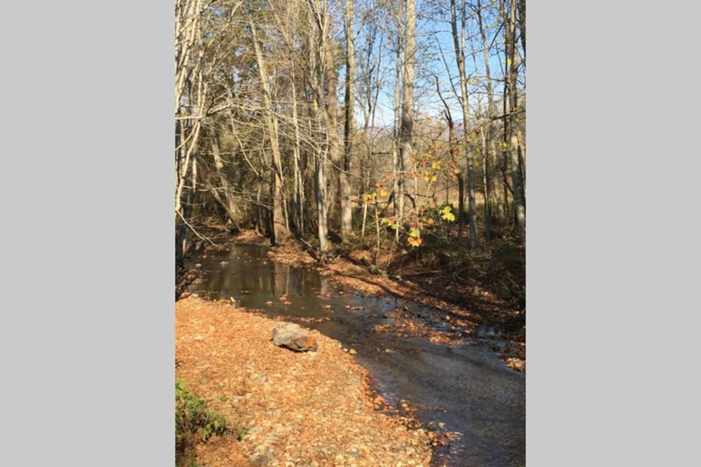 Serenity Views Comfort - Close To City & Parkway! Weaverville Εξωτερικό φωτογραφία